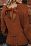 Rust Sassy Hollow-out Back Sweater - Mystique-Online